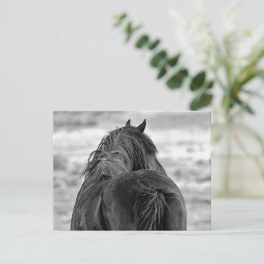 McCullough Peaks Wild Horses Briefkaart (Staand voorkant)