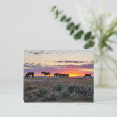 McCullough Peaks Wild Horses Briefkaart (Staand voorkant)