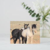 McCullough Peaks Wild Horses Briefkaart (Staand voorkant)