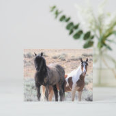 McCullough Peaks Wild Horses Briefkaart (Staand voorkant)