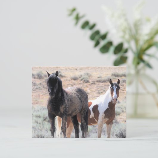 McCullough Peaks Wild Horses Briefkaart (Staand voorkant)