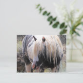 McCullough Peaks Wild Horses Briefkaart (Staand voorkant)