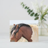 McCullough Peaks Wild Horses Briefkaart (Staand voorkant)