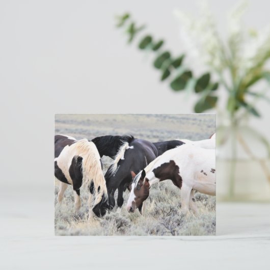 McCullough Peaks Wild Horses Briefkaart (Staand voorkant)