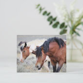 McCullough Peaks Wild Horses Briefkaart (Staand voorkant)