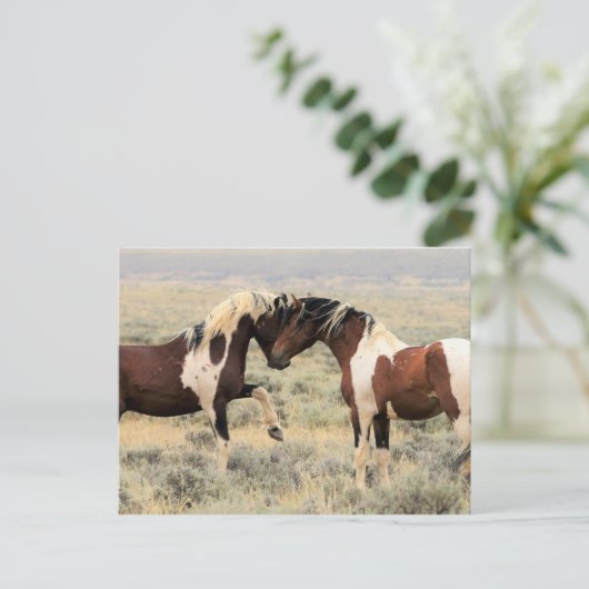 McCullough Peaks Wild Horses Briefkaart (Staand voorkant)