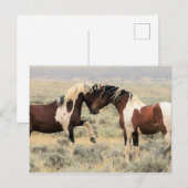 McCullough Peaks Wild Horses Briefkaart (Voorkant / Achterkant)