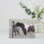 McCullough Peaks Wild Horses Briefkaart (Staand voorkant)