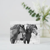 McCullough Peaks Wild Horses Briefkaart (Staand voorkant)