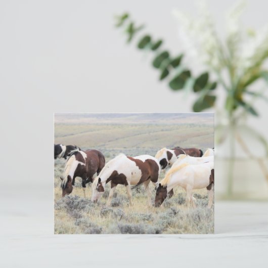McCullough Peaks Wild Horses Briefkaart (Staand voorkant)