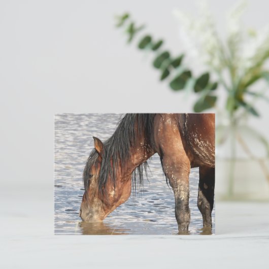 McCullough Peaks Wild Horses Briefkaart (Staand voorkant)