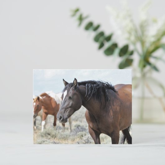 McCullough Peaks Wild Horses Briefkaart (Staand voorkant)