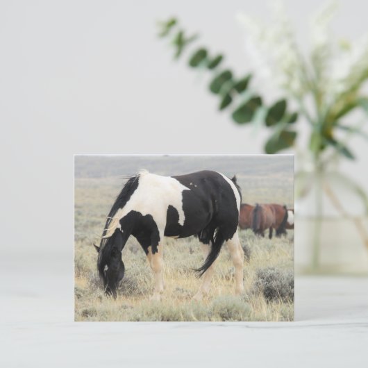 McCullough Peaks Wild Horses Briefkaart (Staand voorkant)