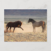 McCullough Peaks Wild Horses Briefkaart (Voorkant)