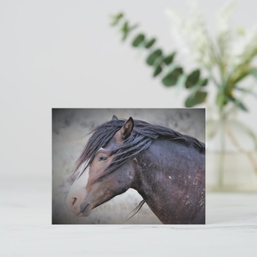 McCullough Peaks Wild Horses Briefkaart (Staand voorkant)