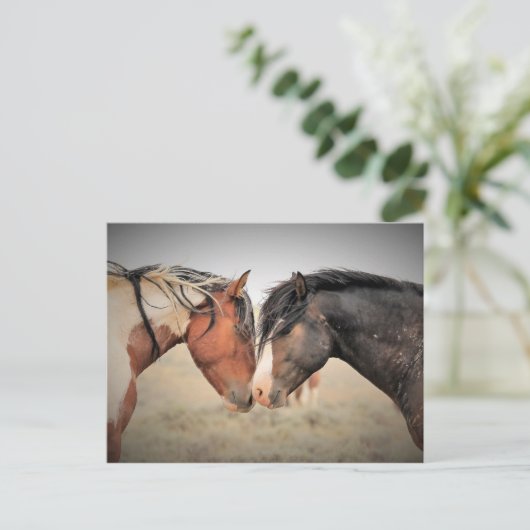 McCullough Peaks Wild Horses Briefkaart (Staand voorkant)