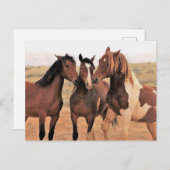 McCullough Peaks Wild Horses Briefkaart (Voorkant / Achterkant)