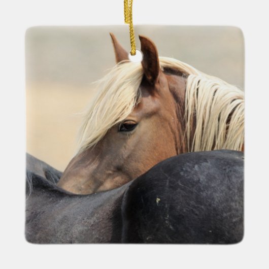 McCullough Peaks Wild Horses Ceramic Ornament (Voorkant)