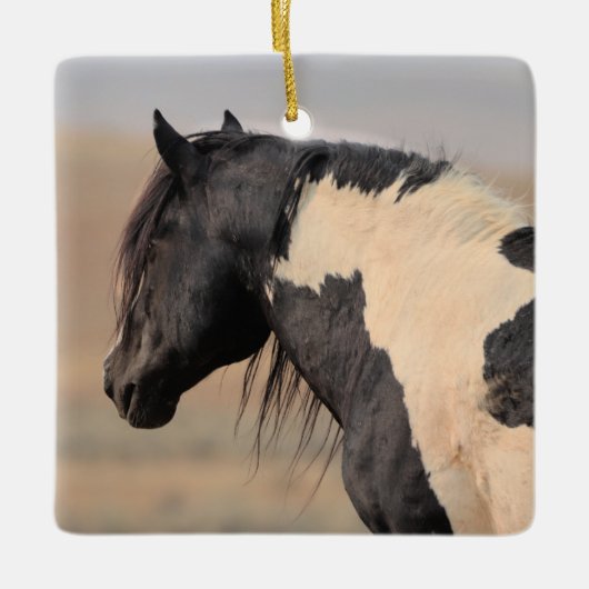 McCullough Peaks Wild Horses Ceramic Ornament (Voorkant)