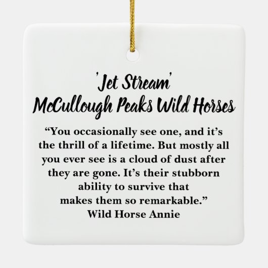 McCullough Peaks Wild Horses Ceramic Ornament (Achterkant)