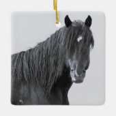 McCullough Peaks Wild Horses Ceramic Ornament (Voorkant)