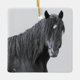 McCullough Peaks Wild Horses Ceramic Ornament