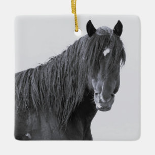 McCullough Peaks Wild Horses Ceramic Ornament