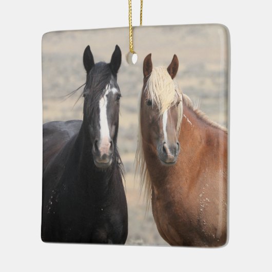 McCullough Peaks Wild Horses Ceramic Ornament (Links)