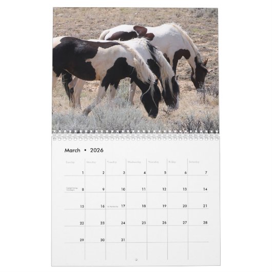 McCullough Peaks Wild Horses Kalender (Mar 2026)