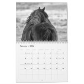 McCullough Peaks Wild Horses Kalender (Feb 2026)