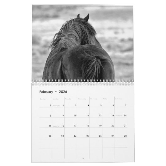 McCullough Peaks Wild Horses Kalender (Feb 2026)