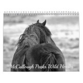 McCullough Peaks Wild Horses Kalender (Hoes)