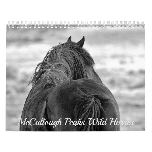 McCullough Peaks Wild Horses Kalender (Hoes)