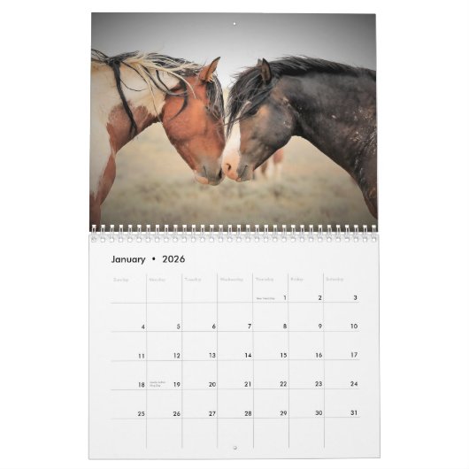 McCullough Peaks Wild Horses Kalender (Jan 2026)