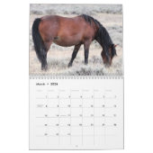 McCullough Peaks Wild Horses Kalender (Mar 2026)