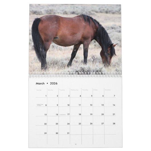 McCullough Peaks Wild Horses Kalender (Mar 2026)