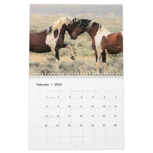 McCullough Peaks Wild Horses Kalender (Feb 2026)