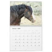 McCullough Peaks Wild Horses Kalender (Jan 2027)