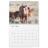 McCullough Peaks Wild Horses Kalender (Mar 2026)