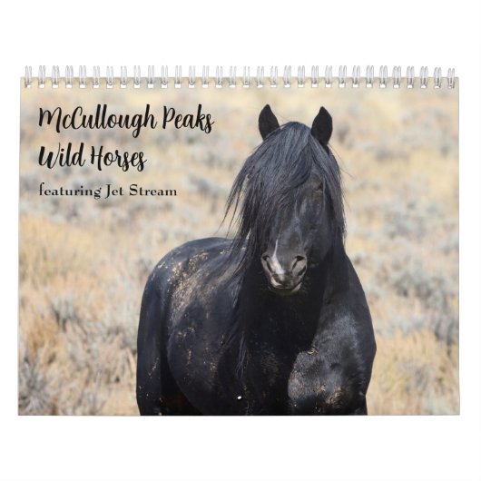 McCullough Peaks Wild Horses Kalender (Hoes)
