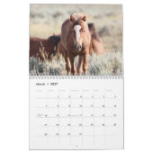 McCullough Peaks Wild Horses Kalender (Mar 2027)