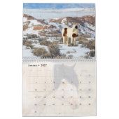McCullough Peaks Wild Horses Kalender (Jan 2027)