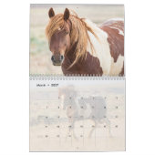 McCullough Peaks Wild Horses Kalender (Mar 2027)