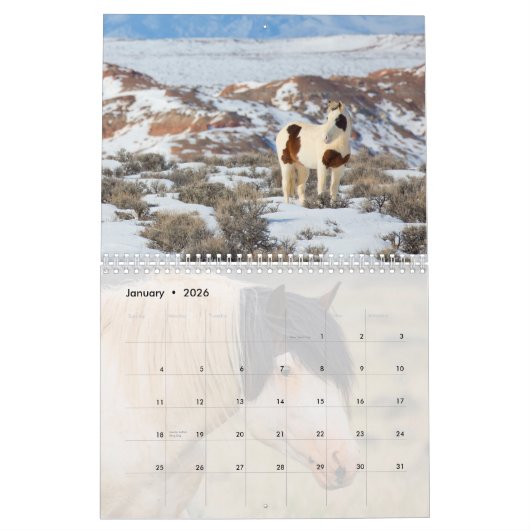 McCullough Peaks Wild Horses Kalender (Jan 2026)