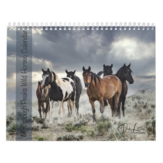 McCullough Peaks Wild Horses Kalender (Hoes)