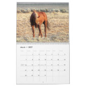 McCullough Peaks Wild Horses Kalender (Mar 2027)