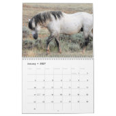 McCullough Peaks Wild Horses Kalender (Jan 2027)
