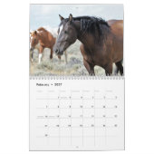 McCullough Peaks Wild Horses Kalender (Feb 2027)