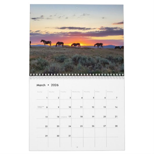 McCullough Peaks Wild Horses Kalender (Mar 2026)