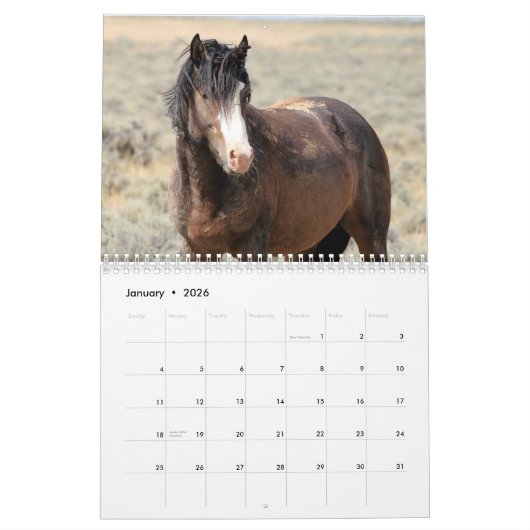 McCullough Peaks Wild Horses Kalender (Jan 2026)